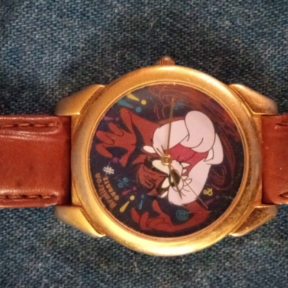 1993 taz watch